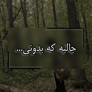 عکس جالبه که بدونی...