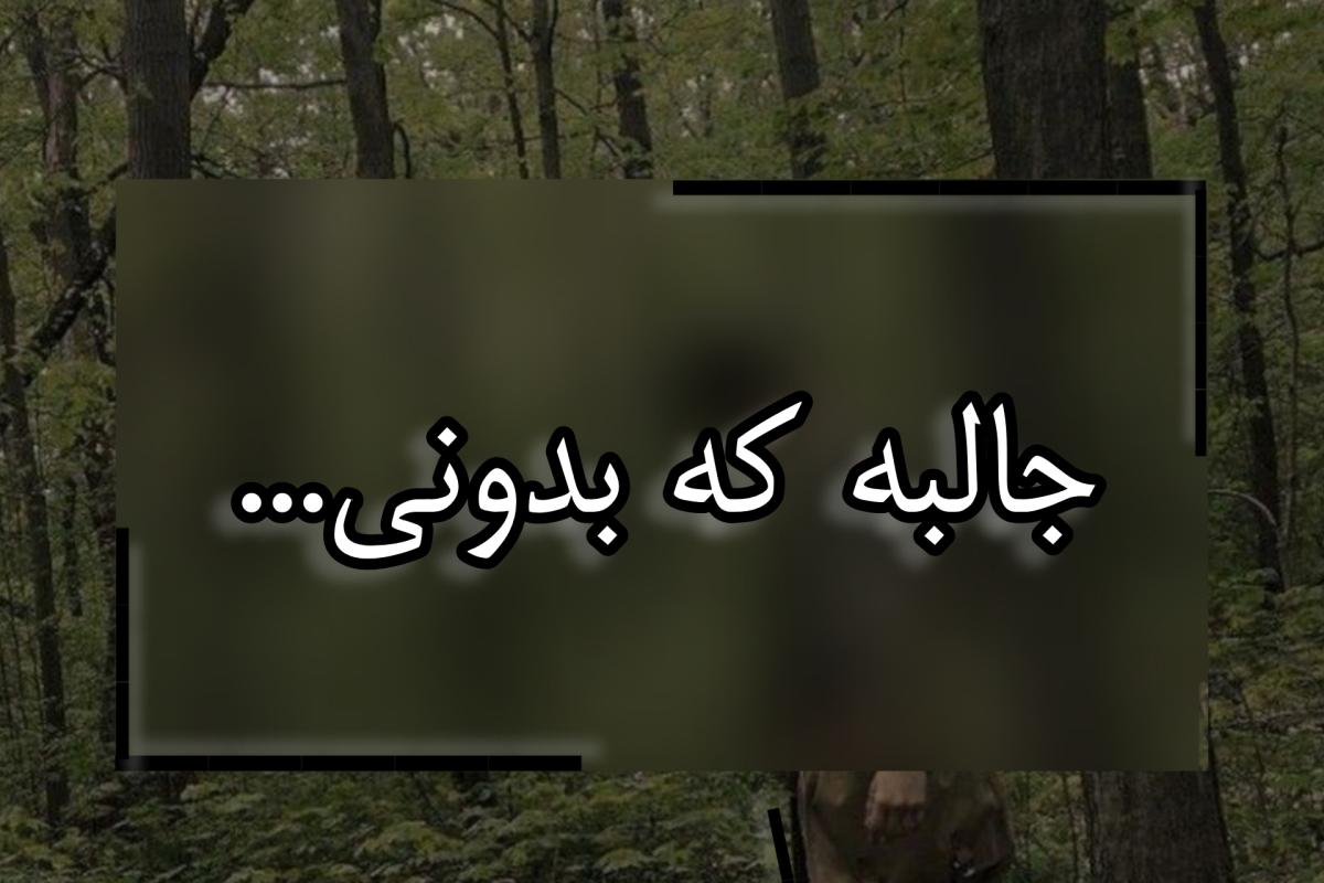 عکس جالبه که بدونی...