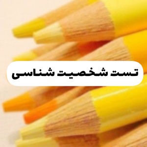 تست شخصیت شناسی