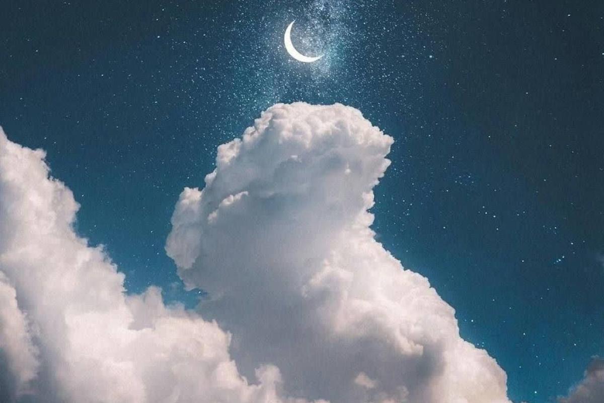 شعر¿