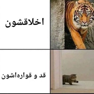 عکس جوک خنده دار ۲