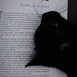 فکت هایی از istp