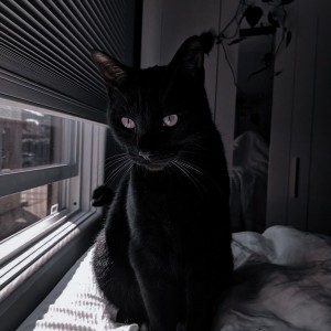 فکت هایی از estp