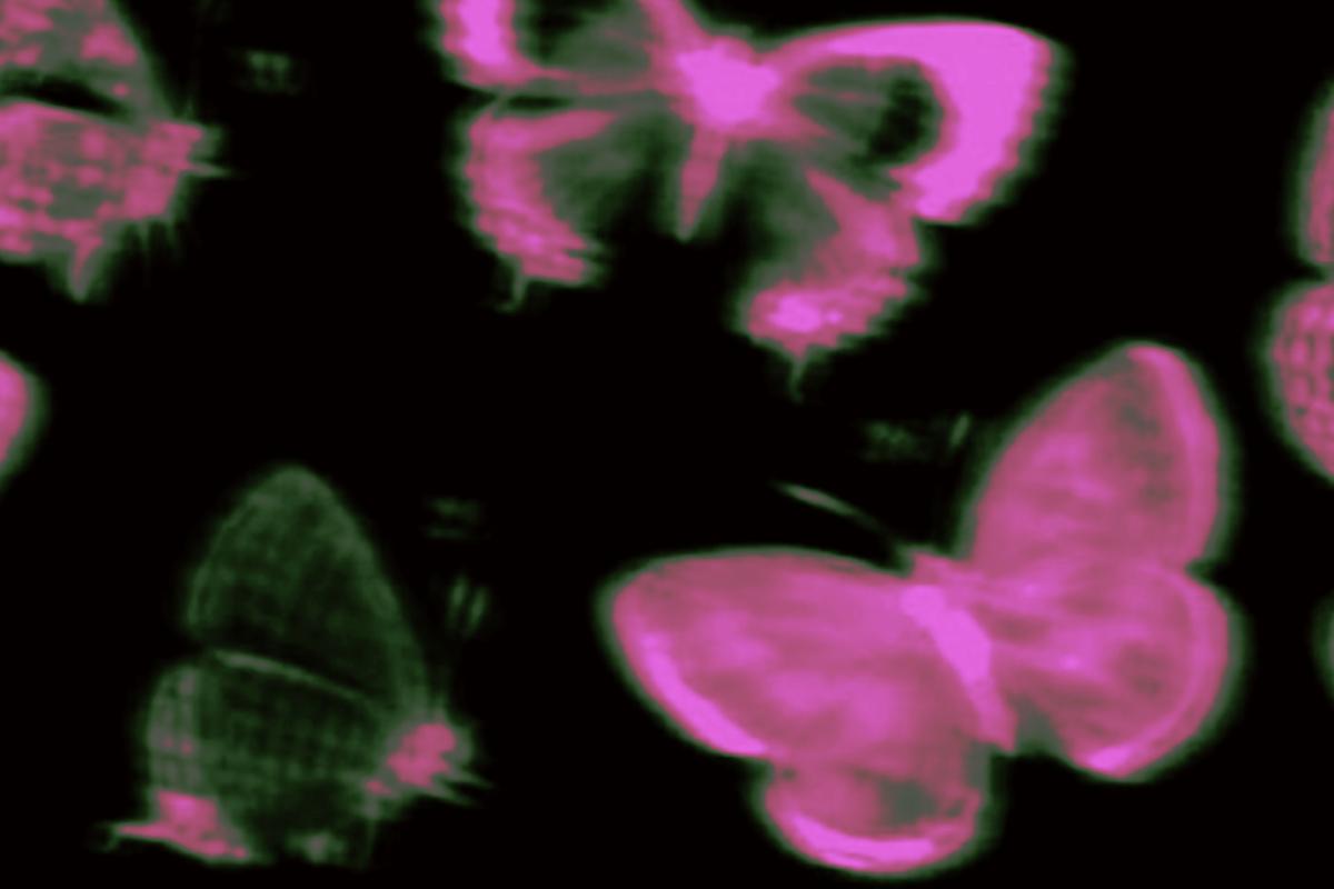 عکس تایپا اگه یه رایحه بودن؛