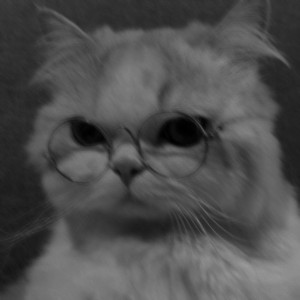 فکت های از intp