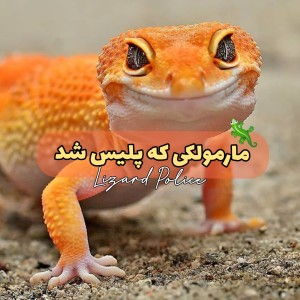 عکس مارمولکی که پلیس شد