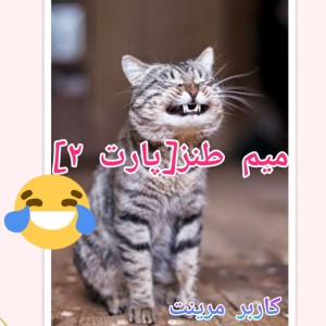 میم طنز[پارت ۲]