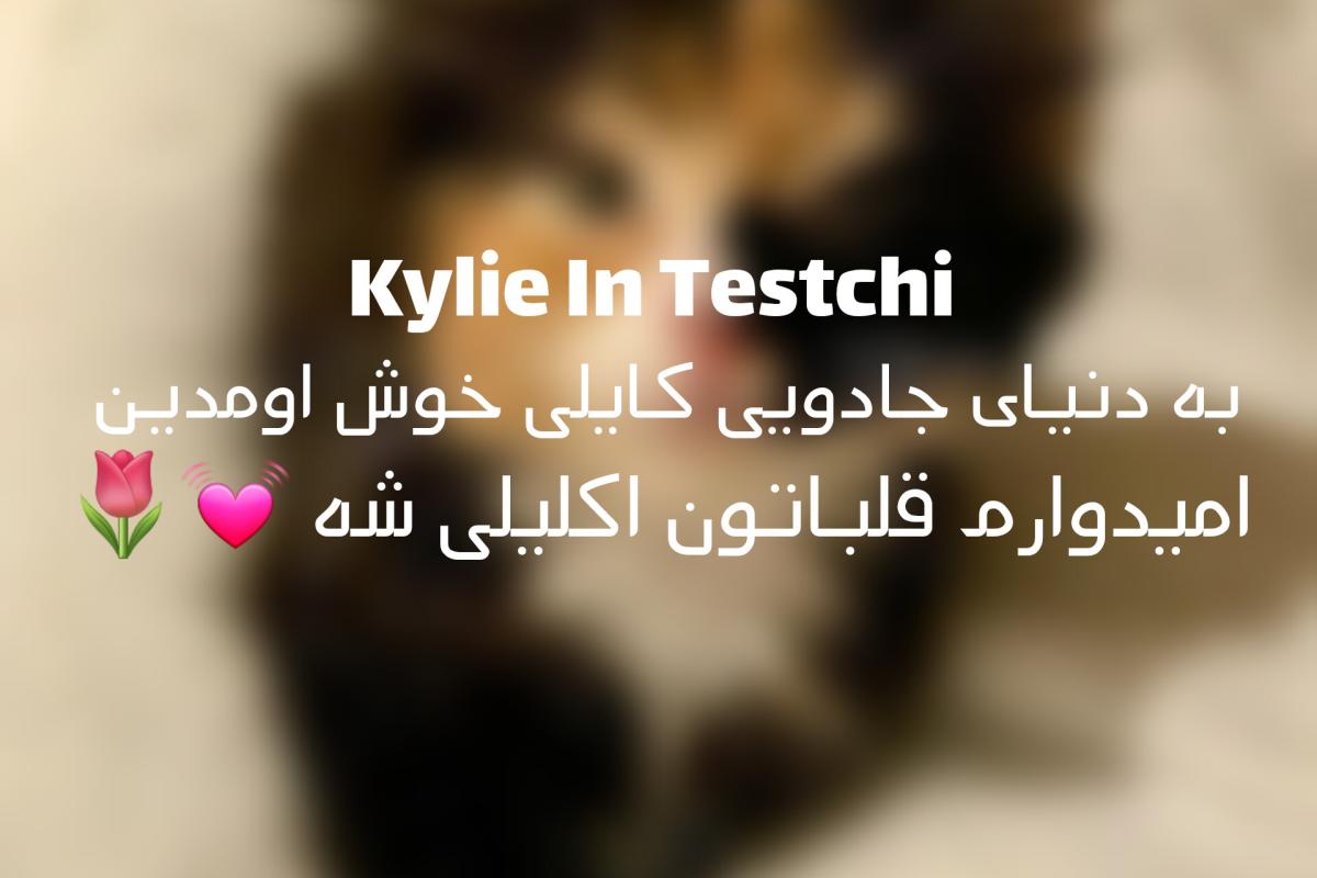 عکس فکت از گربه ها