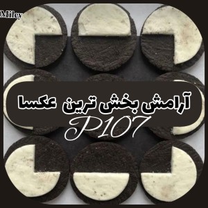 تست آرامش بخش ترین عکسا P¹⁰⁷