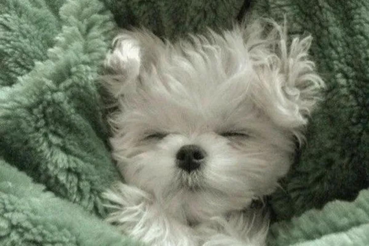 عکس الفبای کشور های اروپا