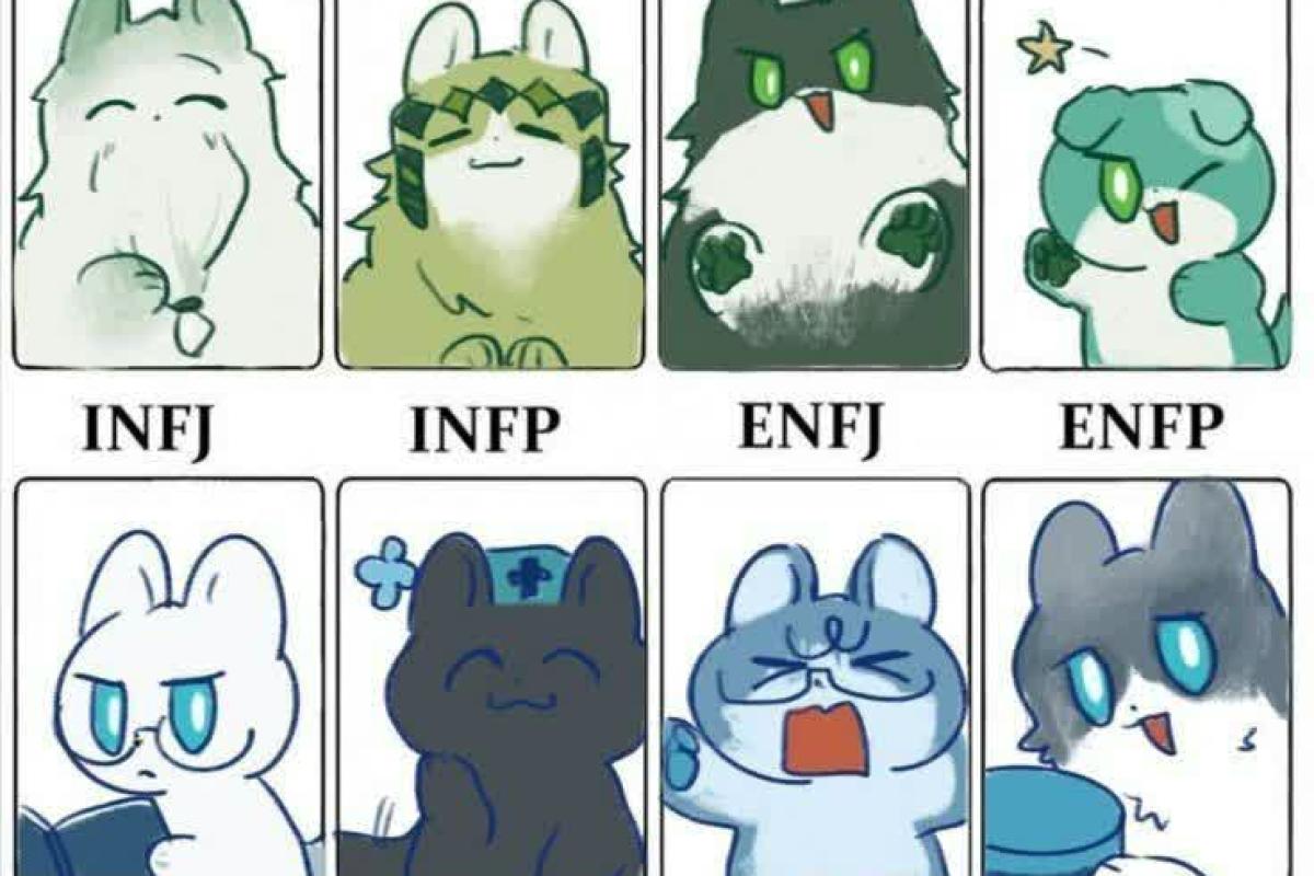 عکس اندکی میم از mbti:))