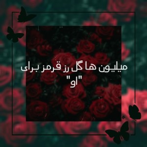عکس میلیون ها گل رز قرمز...