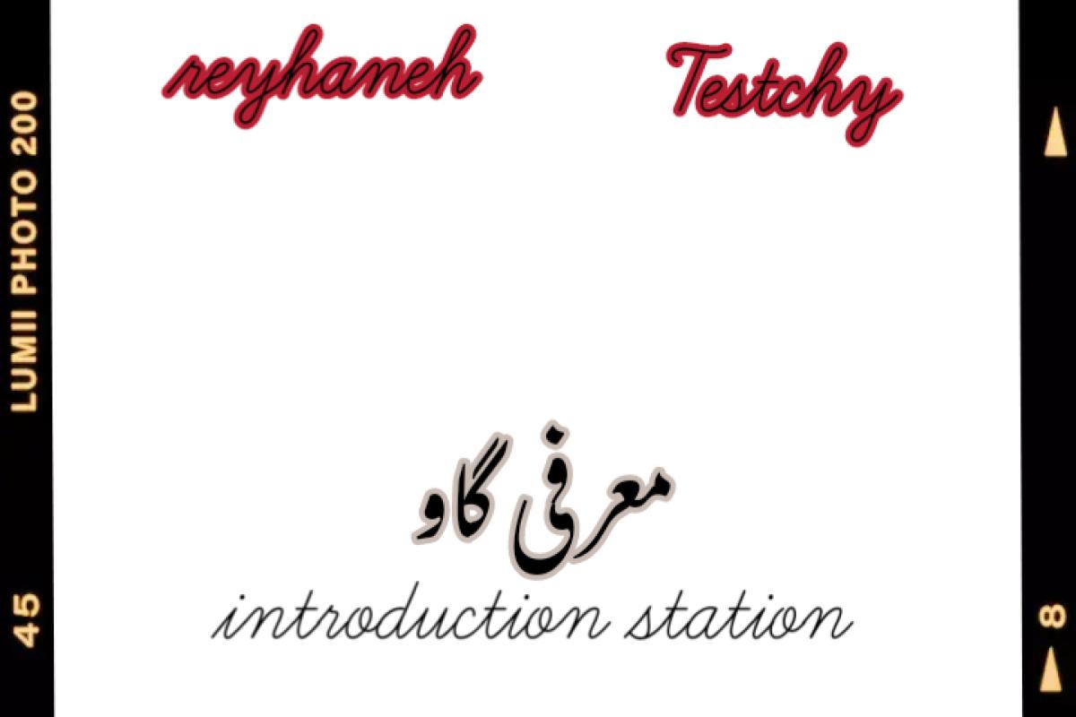 عکس معرفی گاو