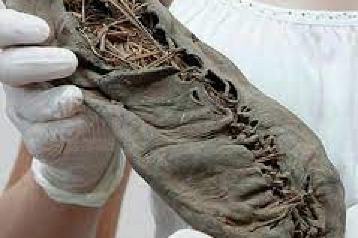 عکس قدیمی ترین کفش چرمی جهان.