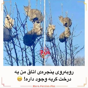 عکس داستان گوربا ها ۳