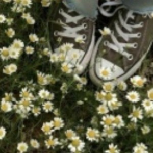 ★ Lukas Graham ★