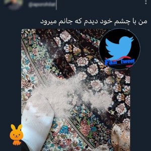 کاور