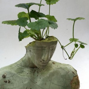 عکس فکت های پشم ریزون