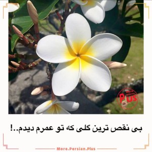 عکس چیزای جالب ۱۵