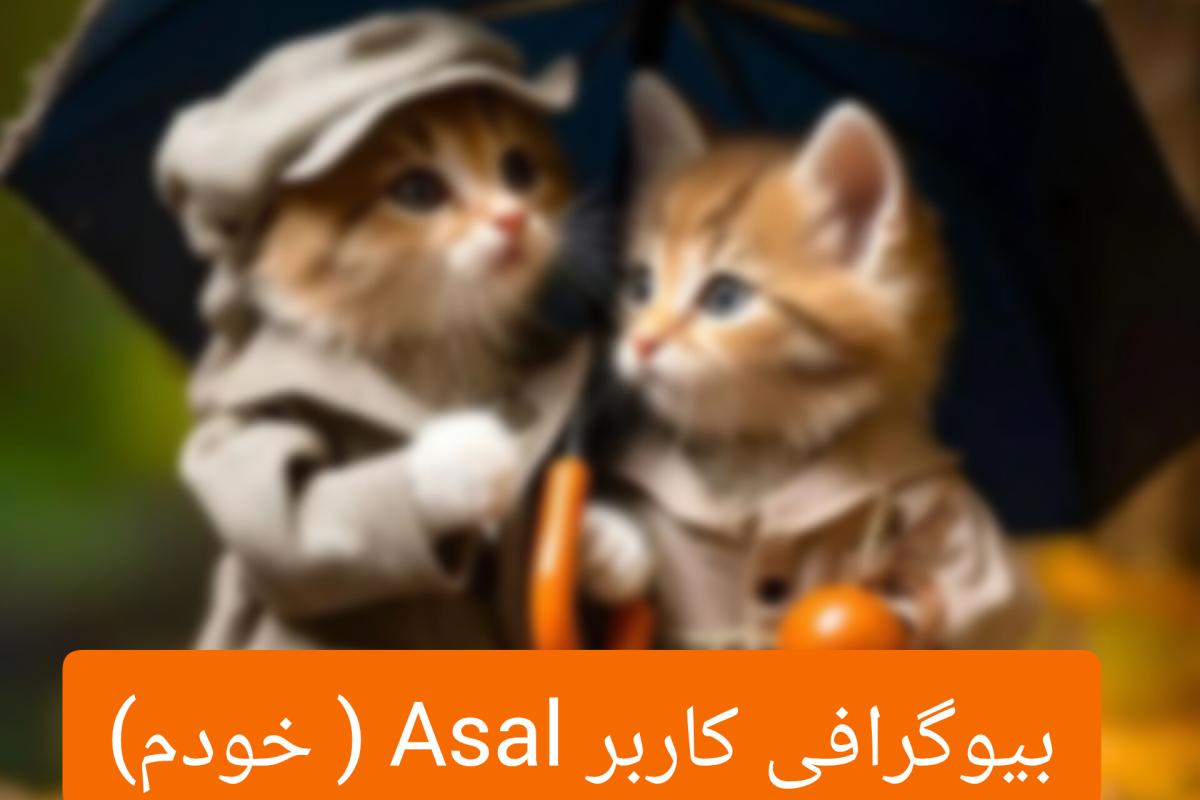 عکس بیوگرافی کاربر asal