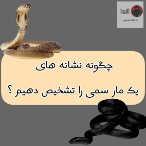 عکس نشانه ی مار های سمی چیست ...