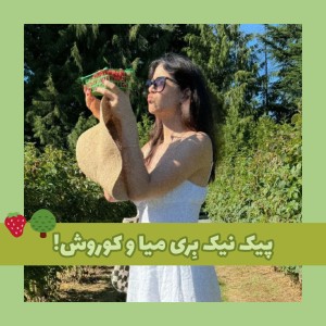 عکس پیک نیک توت فرنگی؟!🍓