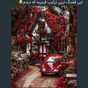 عکس ♡میم تویئتی♡