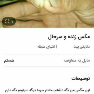 کاور