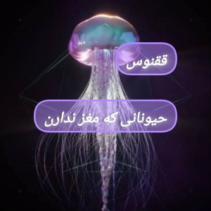 عکس حیواناتی که مغز ندارند