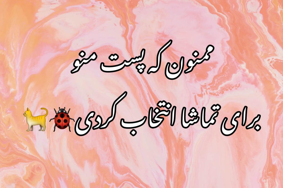 عکس معجزه در ایران