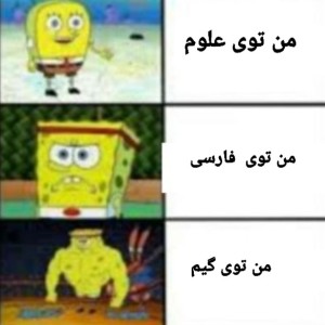 عکس میم ۳