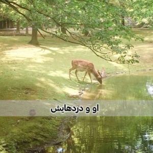 کاور