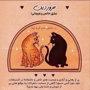 هر ماه در عاشقی (مدل گربه‌ای)