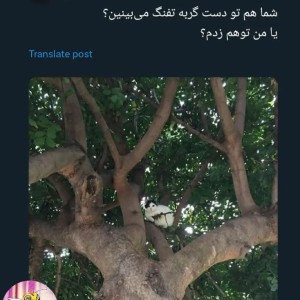 عکس میم😂🫴🏻