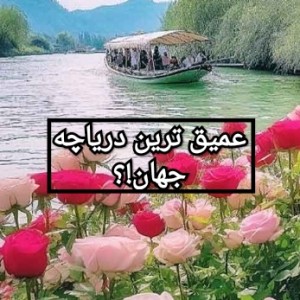 کاور