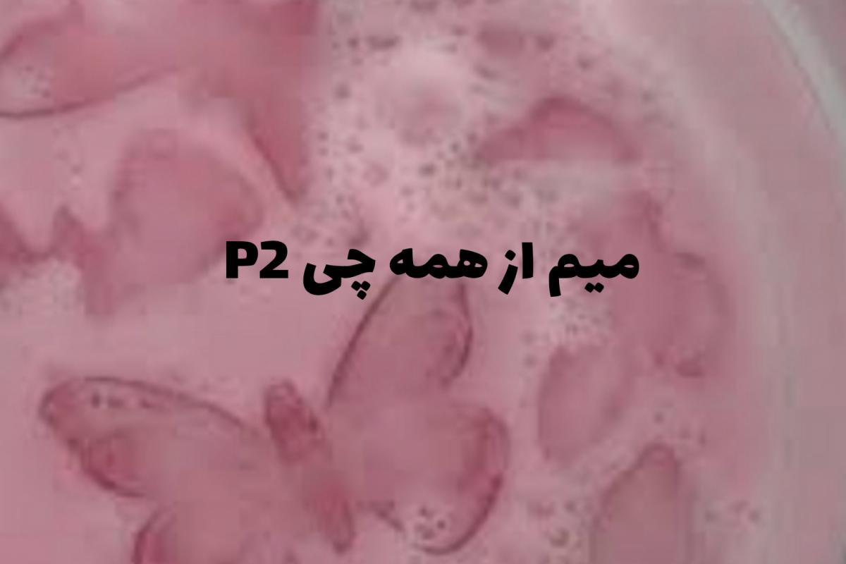 عکس میم از همه چی P2