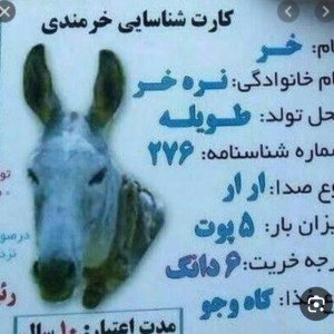 کاور