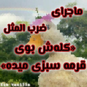 کاور