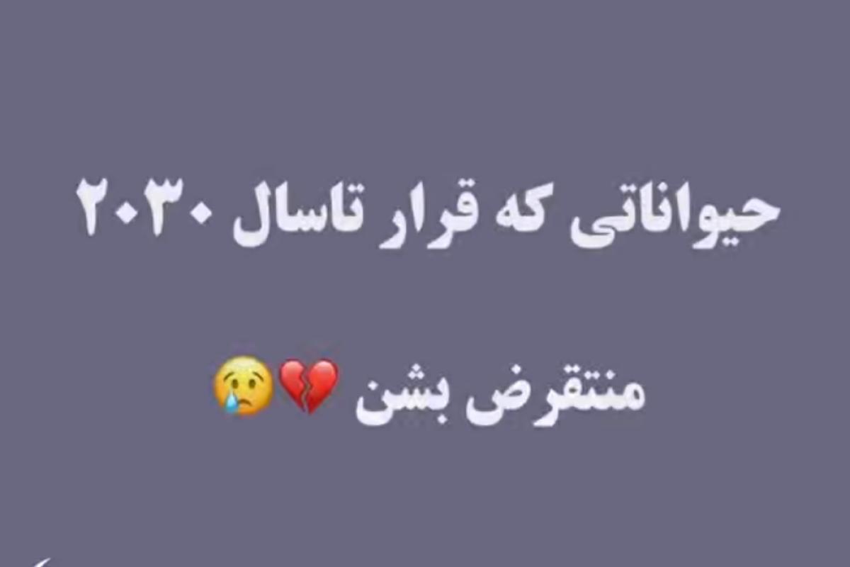 عکس حیواناتی که قراره از پیشمون برن😢💔