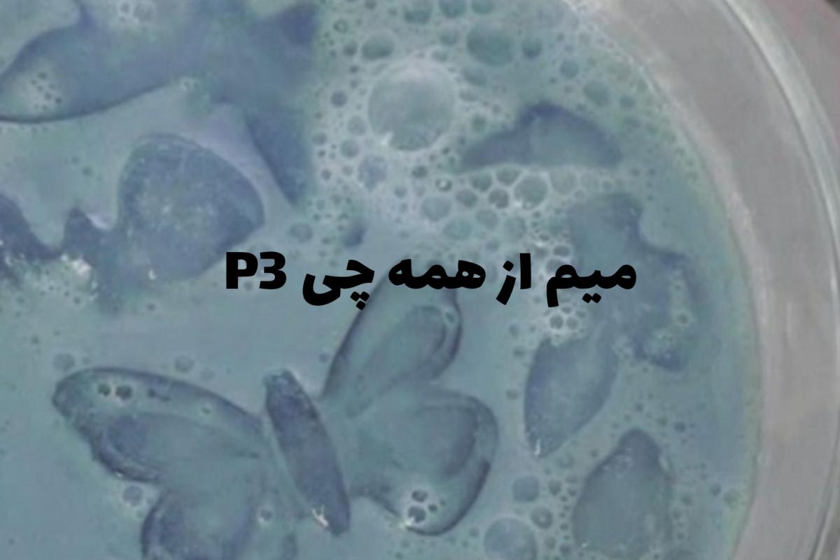 عکس میم از همه چی P3