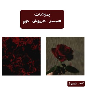 کاور
