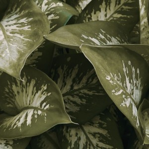 تیکه کتاب 📚