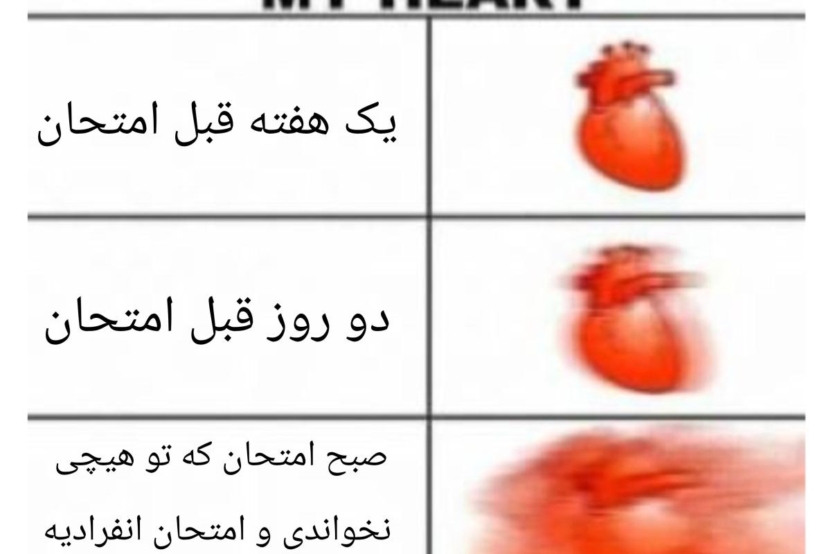 عکس میم ۲