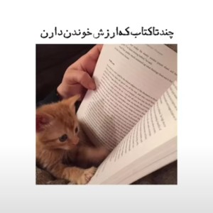 عکس کتاب هایی که ارزش خوندن دارن🦋