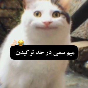 عکس میم سمی p2😌😂