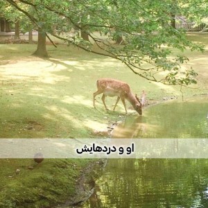 عکس رمان او و دردهایش پارت دوم