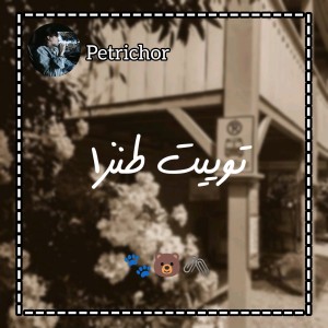 کاور