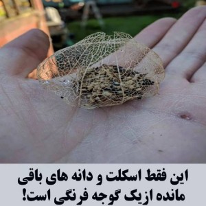 عکس زیبایی های کره ی زمین