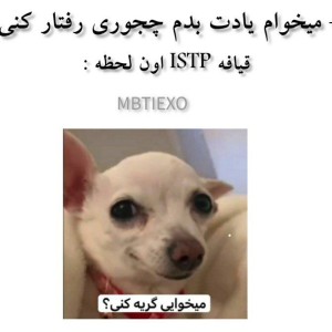 میم حق تایپ ها