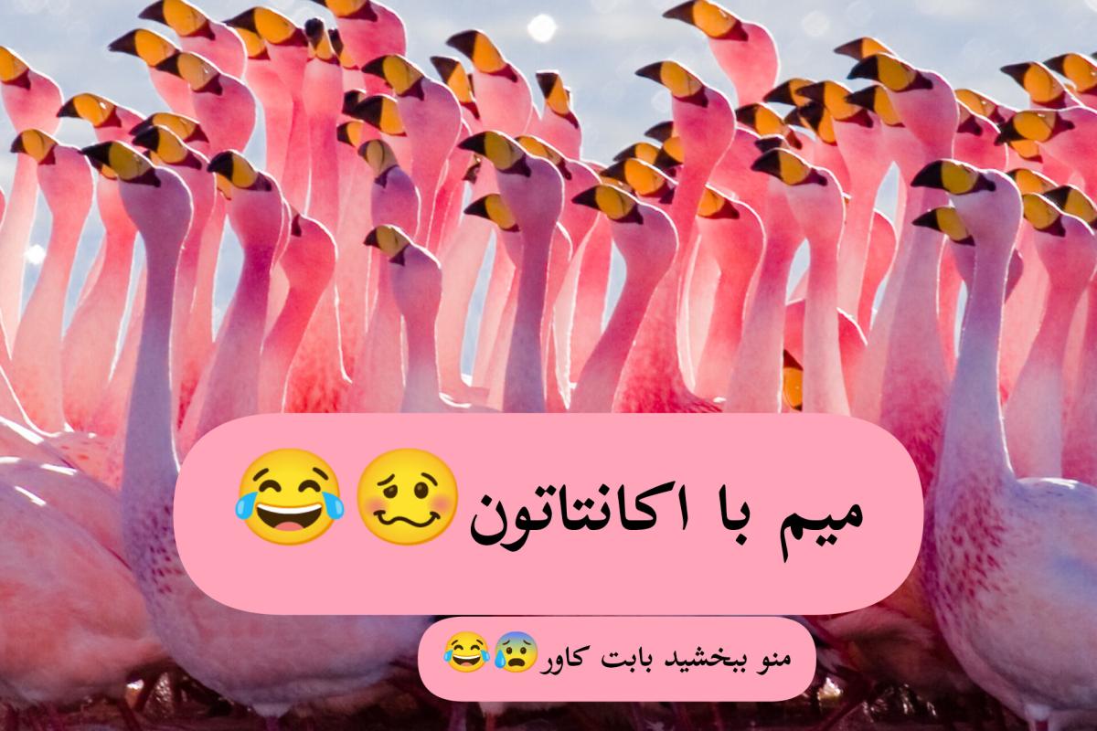 عکس میم با اکانتاتون:)